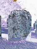 image of grave number 709595